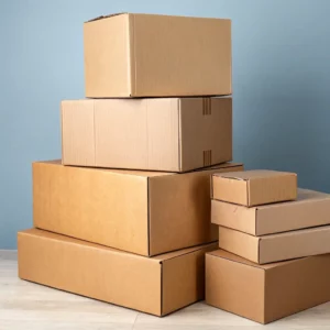 Cardboard Box Set (Medium)